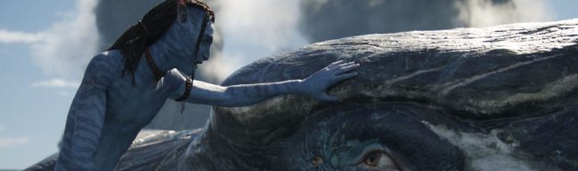 Film still aus Avatar: The Way of Water: Lo'ak (Britain Dalton) streichelt den Tulkun namens Payakan, ein sehr großes Wal-ähnliches Fantasietier.